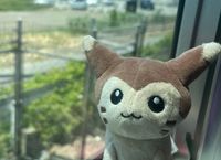 関西弁のオオタチ