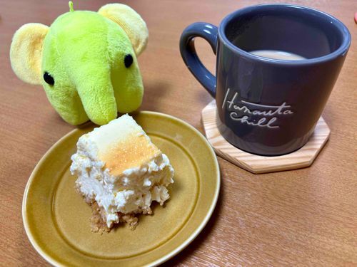 てづくりチーズケーキ🐘🍀