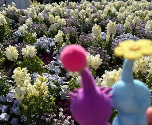 お花畑についたミン🪻