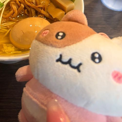 もちにゃみとの旅の記録