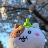 おいしい