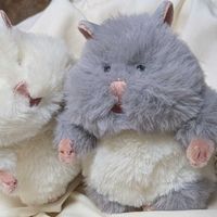 むつ