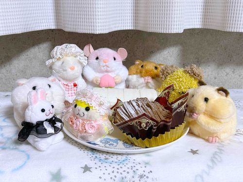 ハムの会🐹