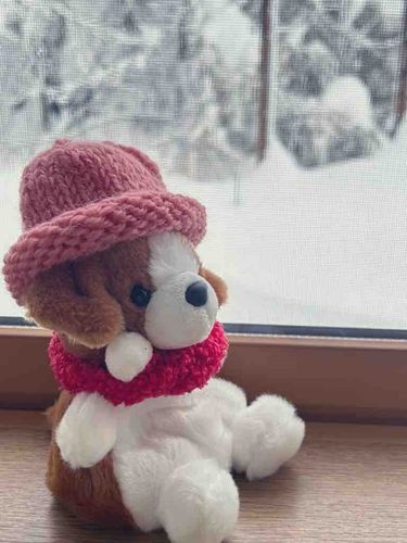 朝、窓まで雪が積もってて大変だったねぇ…
