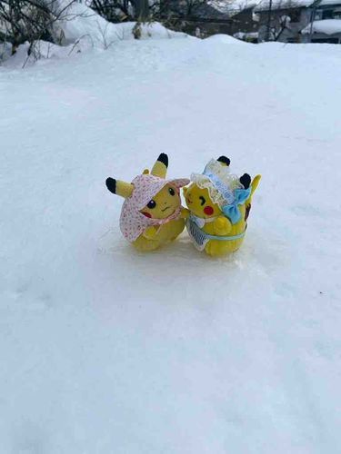 雪すごすぎる‼️
