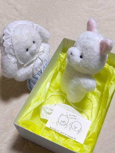 運命の出会い…！