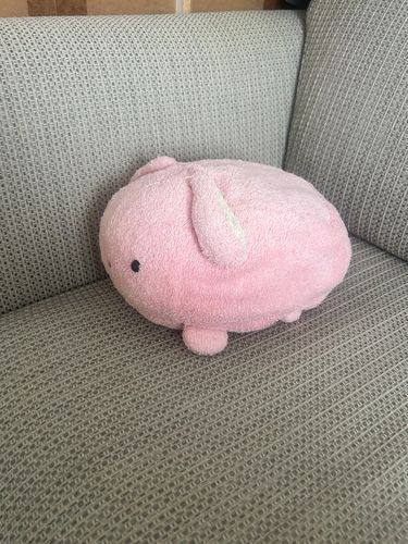 なんか、ソファの隅っこで落ち込んでる。。❔