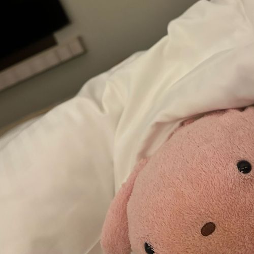 今日お姉ちゃんはお仕事で疲れたんだって。なにやっても上手くいかない日だったみたい。うーちゃんが慰めてあげるね。お姉ちゃんいつもがんばっててえらい♡