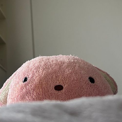 天気のいい日はずーっとお昼寝してるねねたん。うーちゃんはお昼寝中のねねたんをじーっと見守り中。でも、うーちゃんもねむくなってきたかもぉ。。。