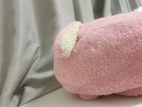 うーちゃんの横顔をおみせするね⭐️