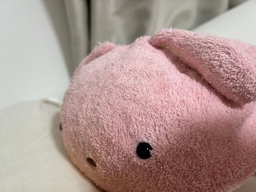 うーちゃんいつもねねたんとねんねしてるの。ねねたんのおとなりにいるのがあたりまえなの…むにゃむにゃ…