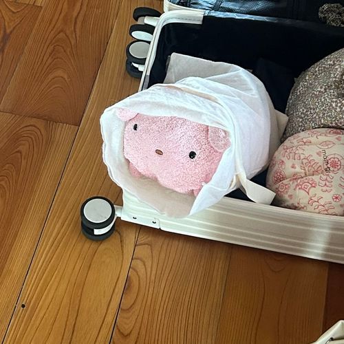 ねねたんのきゃりーけーすにいん!
