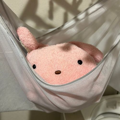ねねたんいってらっしゃ〜い