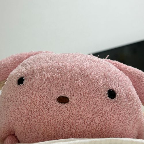 うーちゃんは毎日「きょうもいちにちおつかれさま〜」っていってくれるよ。うーちゃんもお留守番おつかれさまܸᐢ. ̫.ᐢ ܸ♡
