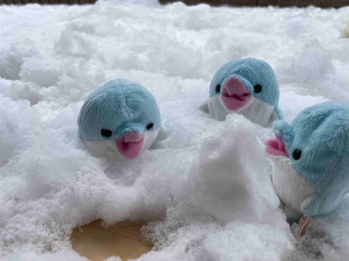なかよくゆきあそび⛄️