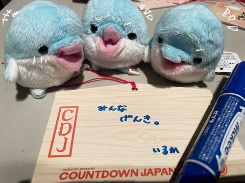みんなげんきに駆け抜けるぞ2026🏇💨