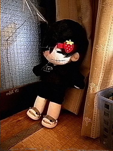 お風呂上がり🛀
数億年ぶりくらいに湯船に浸かった気がする…
桜子くんと涼しいお部屋でまったりʕ•ᴥ•ʔ

🌸 ＜ 湯船に浸かるのはほどほどに
ちなみに僕はお風呂に3時間ぐらいいてお父さんに怒られたことがあります、ふみゅ。