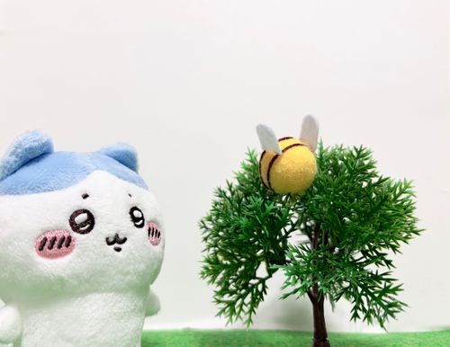(見ちゃった、今日のッ)