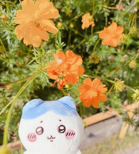 ちょっとだけ暑かったかもッ…おひさま