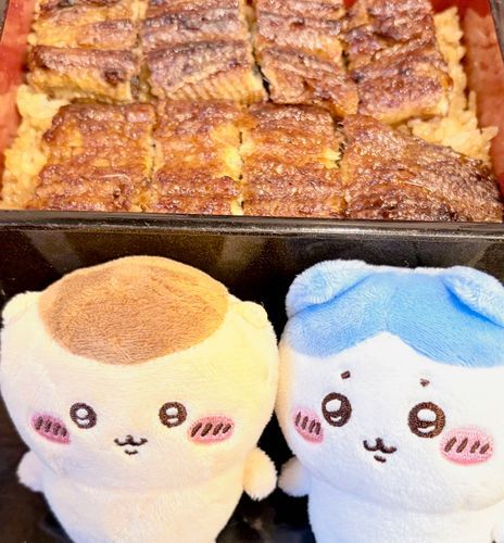 てりてり！