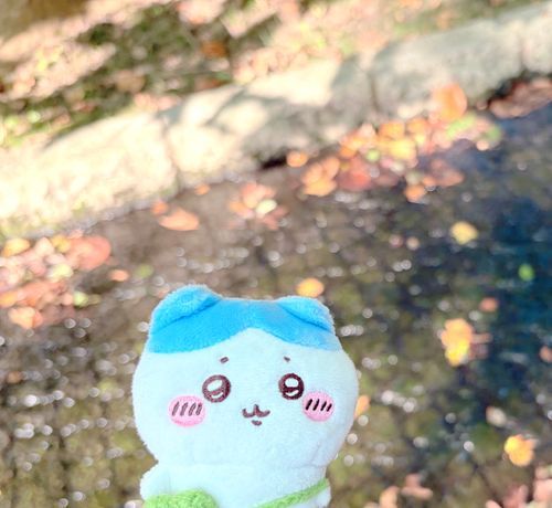 ちょっとだけ、秋🍂