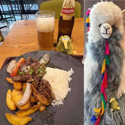ペルー料理のお店でランチしたういん。
今日も牛肉〜♪
ペルー風ビーフと野菜の炒め物のランチういん。
美味しかったのでお店にいたリャマと記念撮影〜📷
お互いもふもふ暑いういん🫠
