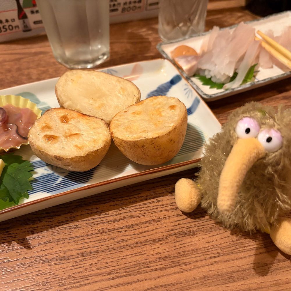 函館最後の夜ういん♪
美味しいイカとかホタテとか食べたういん。
同居人のふくろうはいっぱい酒飲んでた〜。
明日はちゃんと帰らなきゃなのだういん。