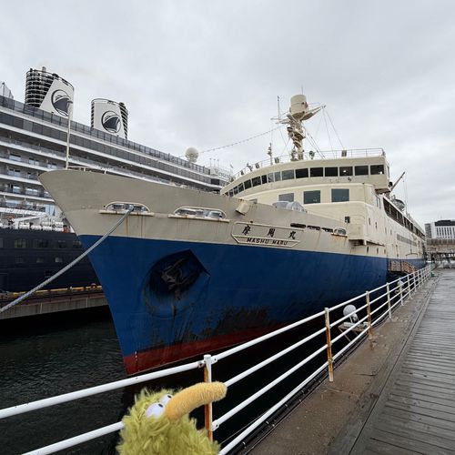 今日は摩周丸乗ってきたういん。
船旅いいねぇ。
でも台風との斗いの展示も見たういん。怖いういん😱
えっ？僕明日船に乗るらしいういん😱