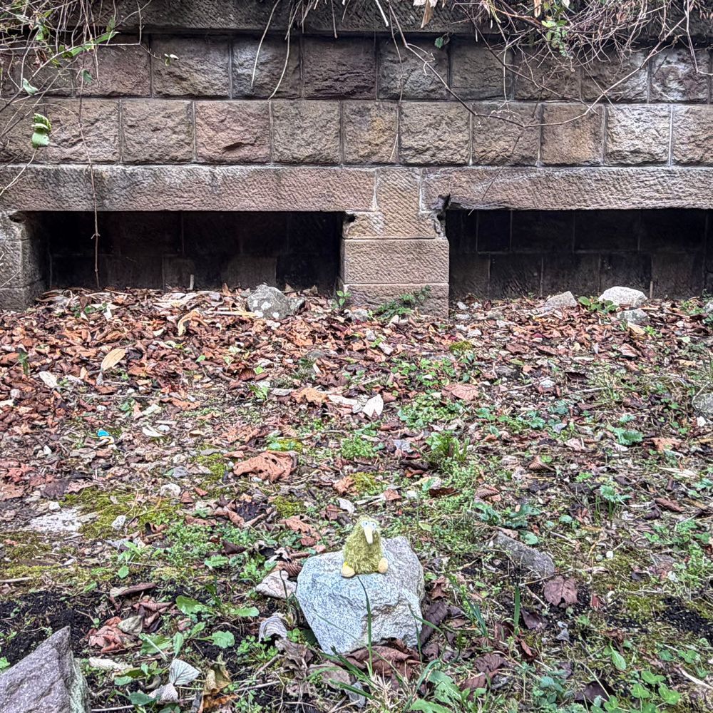 千畳敷砲台跡にも行ったういん。
とても静かな遺構、とてもドキドキういん♪
