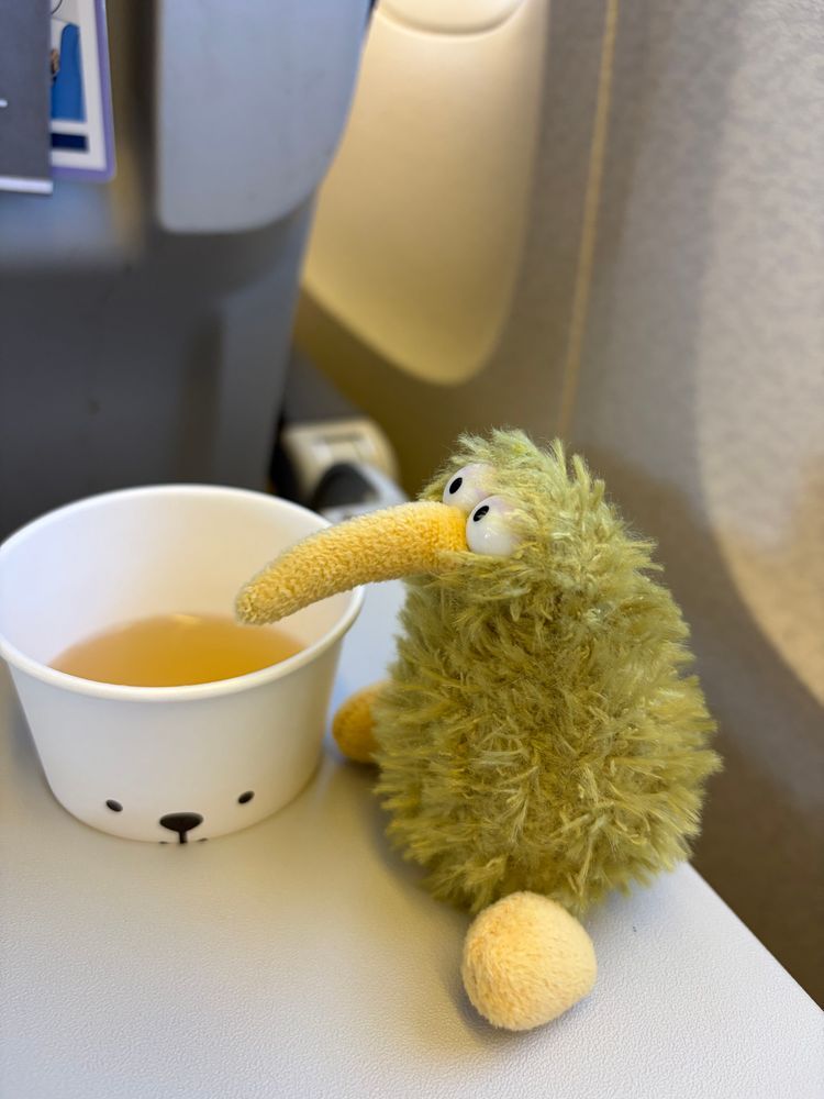 初めての飛行機、ちょっと揺れたけど楽しかったういん。
外見たりホタテスープ飲んだりしてるうちにすぐに到着ういん！
さてさて、どんな所に行くのかな？