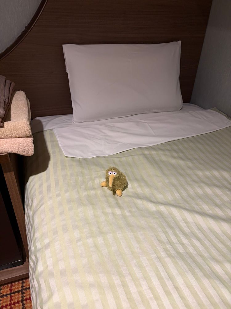 昨日はこの船に乗ったういん🚢
でも僕は実は密航…。
乗船者名簿に載ってないかもよ〜🤫
でもちゃんと僕のベッドもあったういん🤭