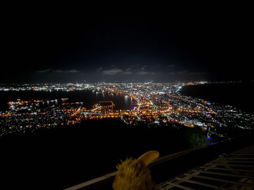2度目の函館山〜♪
前回はロープウェイでビュッとでしたが、今回は夜景号というバスでゴトゴ🚌
美しかったういん✨
来られて良かった〜！