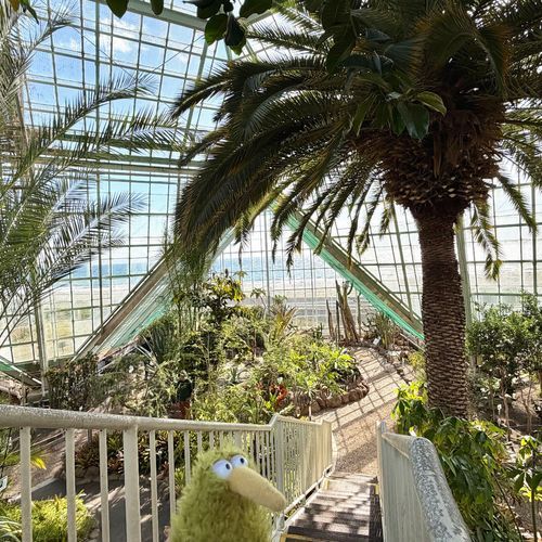 今日は熱帯植物園に行ったういん。南国〜♪
なんか木の上にいる！
トカゲはおとなしくて可愛かったういん♪