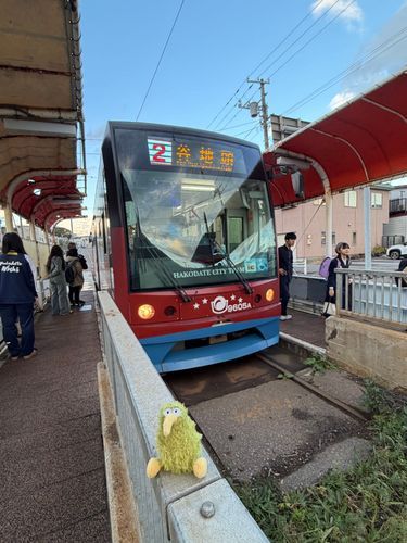 帰りは路面電車で楽々ういん
ゴトゴト楽しいね♪🚃