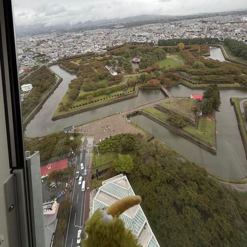 今日は五稜郭にもいったういん。
こっちにきて色々言った場所が見えたういん〜♪
青森は向こう！
ねこさんに手を振ったういん〜♪