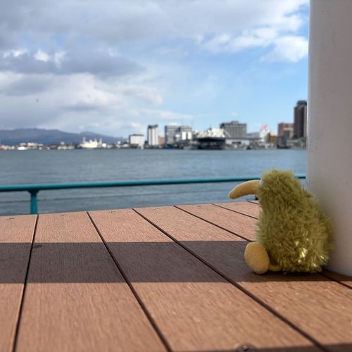 さよなら函館、また会う日まで。
ういんういん👋