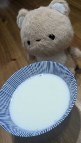 牛乳ゼリーだって！主がうっかり砂糖入れ忘れたから、スティックシュガーをかけて食べたよ〜！美味しかった！