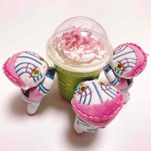 ぺちの！
まちゃさくら🌸ぺちの！