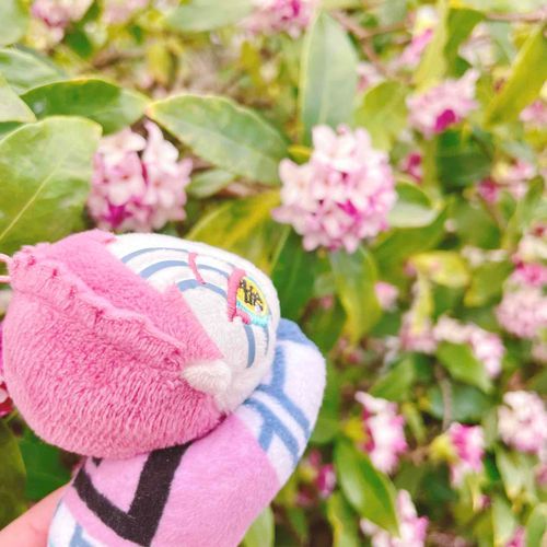 くんくん
いいにおいー💕