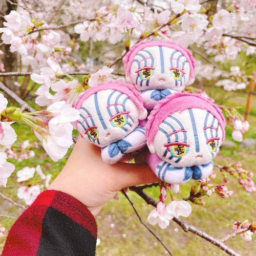 あさにさくらみにいてきたよ！
きょはぽかぽかおてんきできもちがいいの🌸