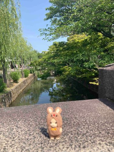 最近の写真はぜんぶ倉敷でした✌️