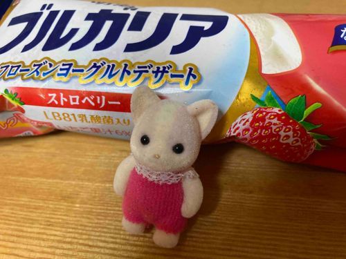 これおいしいよー