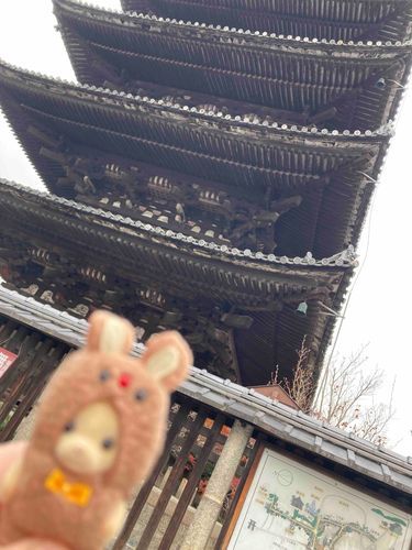 京都に行ったよ😆
