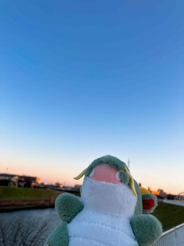 空が高い