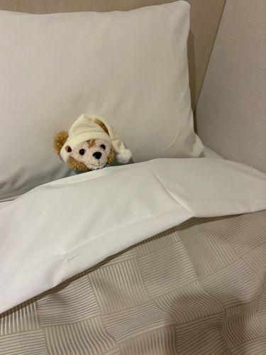 今日は疲れました…
お先に おやすみなさい
(-_-)zzz