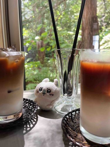 森の隠れカフェ