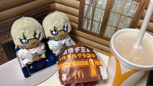 あるじが、ぐらころかってきたぬ💕