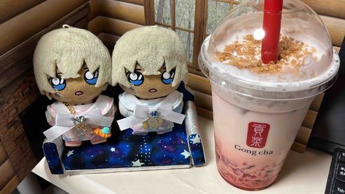 あるじが、かってきたよ。おいちいかな？ちめたいねっ