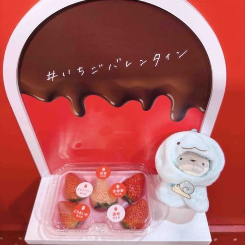 モテモテで困るっす