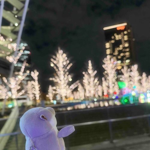 今年も終わりっすね